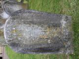 image number TLRH149